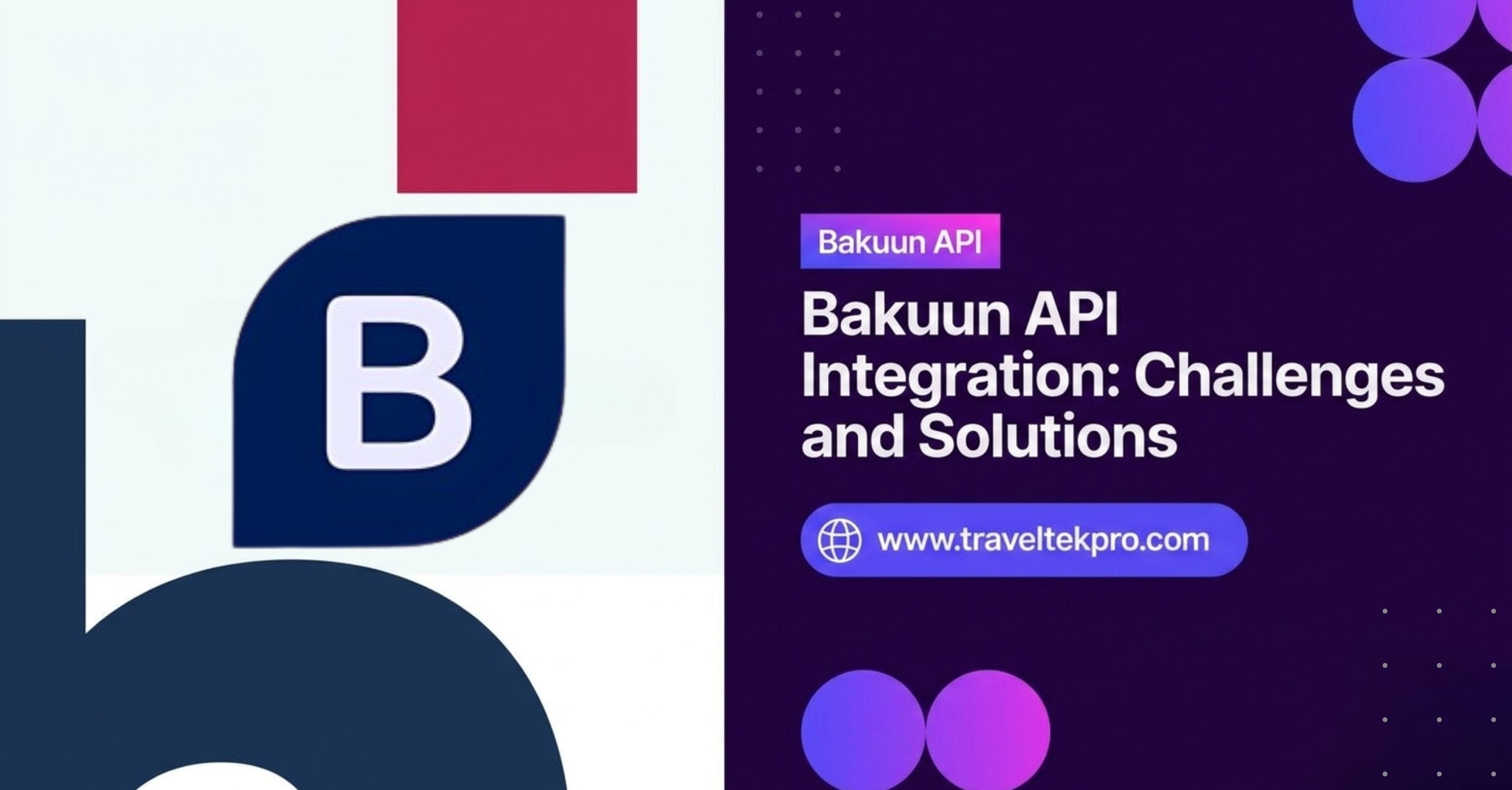 Bakuun API Integration: Challenges and Solutions